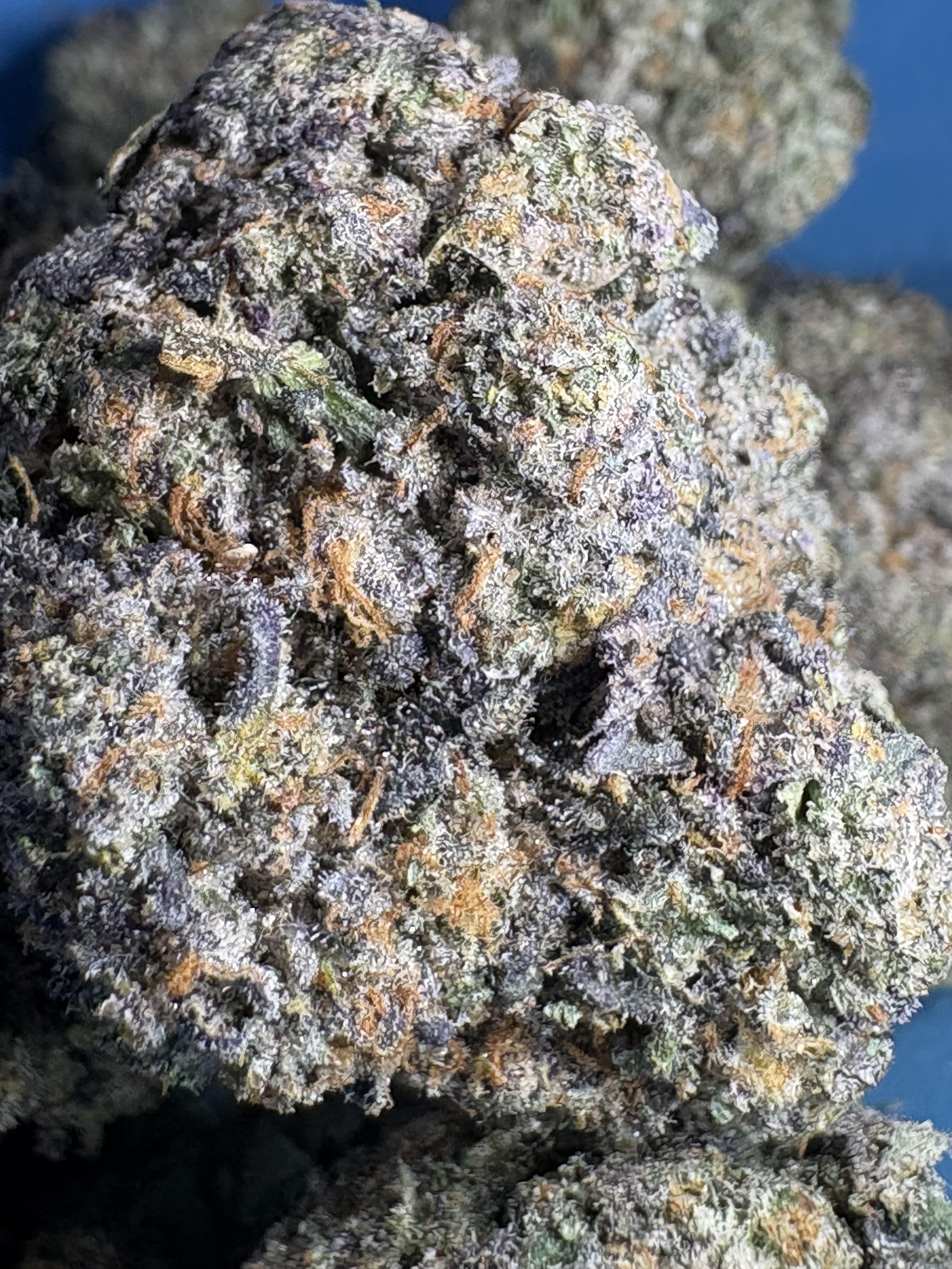 Macro shot of a dense cannabis bud with purple hues and shimmering white crystalline trichomes.