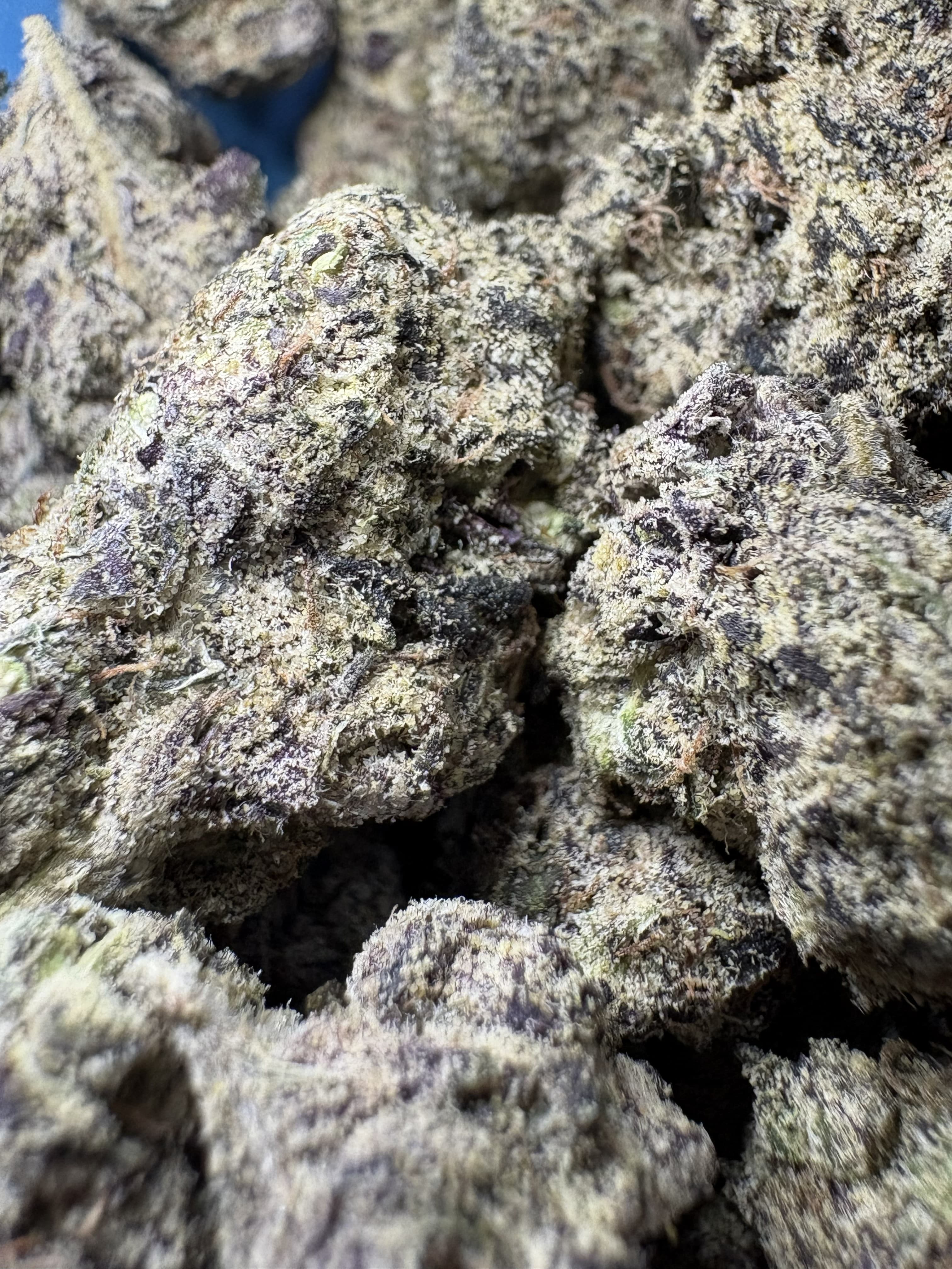 Dense cannabis buds with deep purple and light green hues and frosty white trichomes.