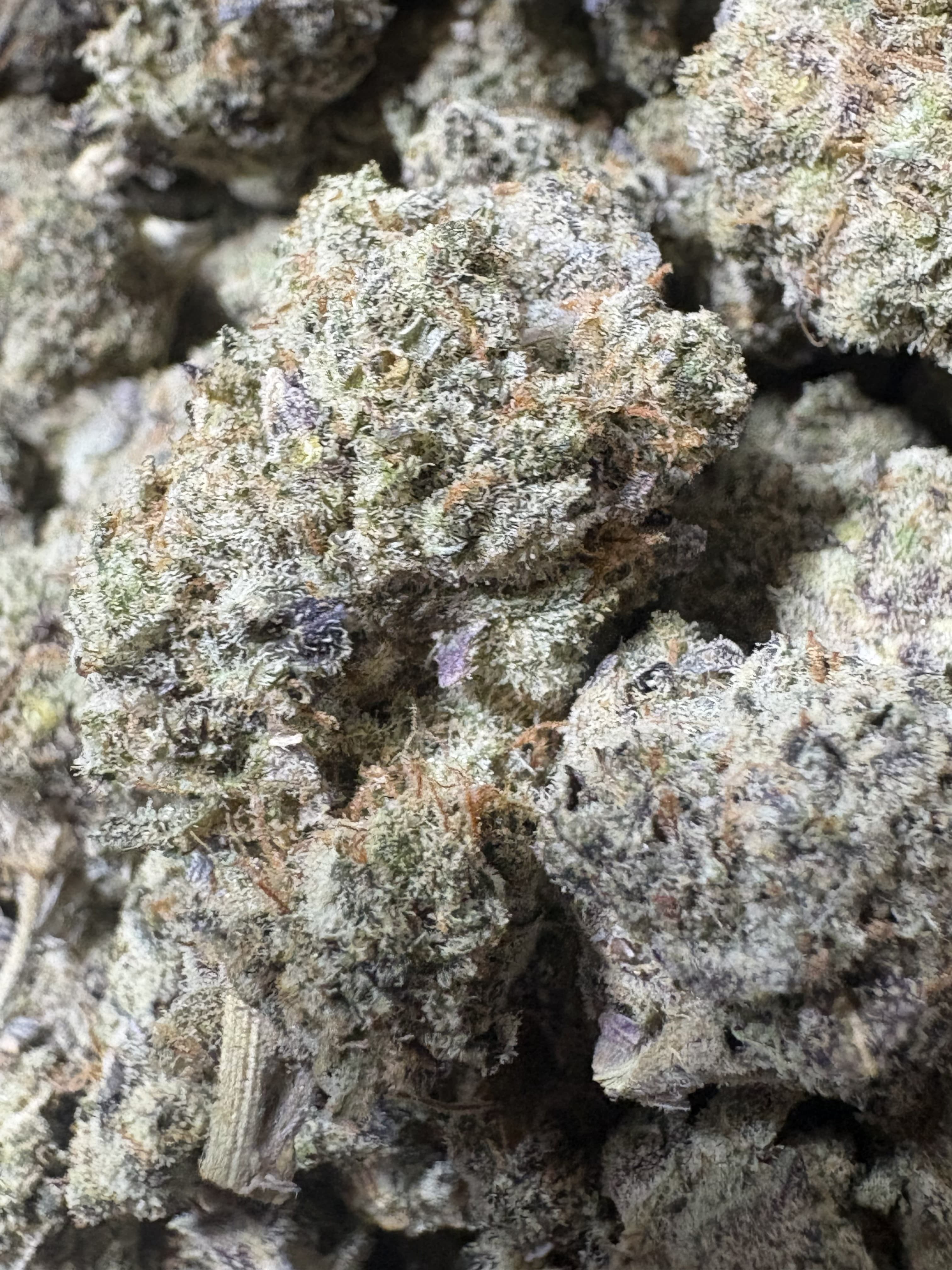 Close-up of dense, frosty cannabis buds with purple leaves, green foliage, and orange hairs.