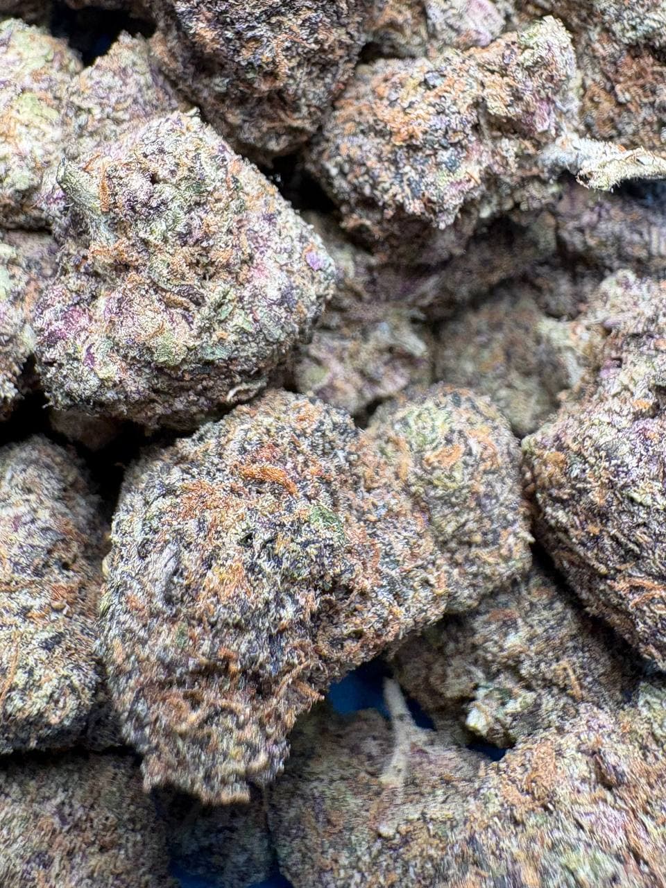 Close-up of dense cannabis buds with purple hues, orange pistils, and frosty white trichomes.